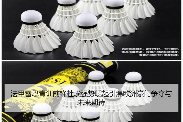 法甲雷恩青训前锋杜埃强势崛起引爆欧洲豪门争夺与未来期待